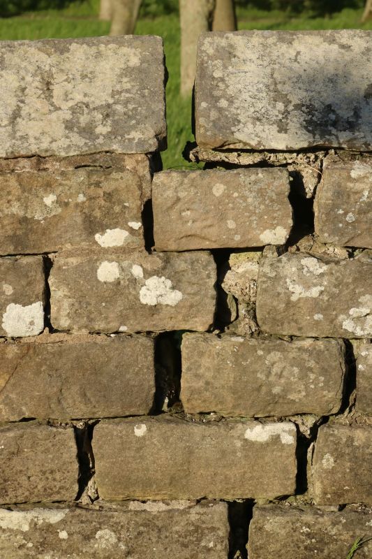 Stone Wall Repair in Miami Dade County, FL